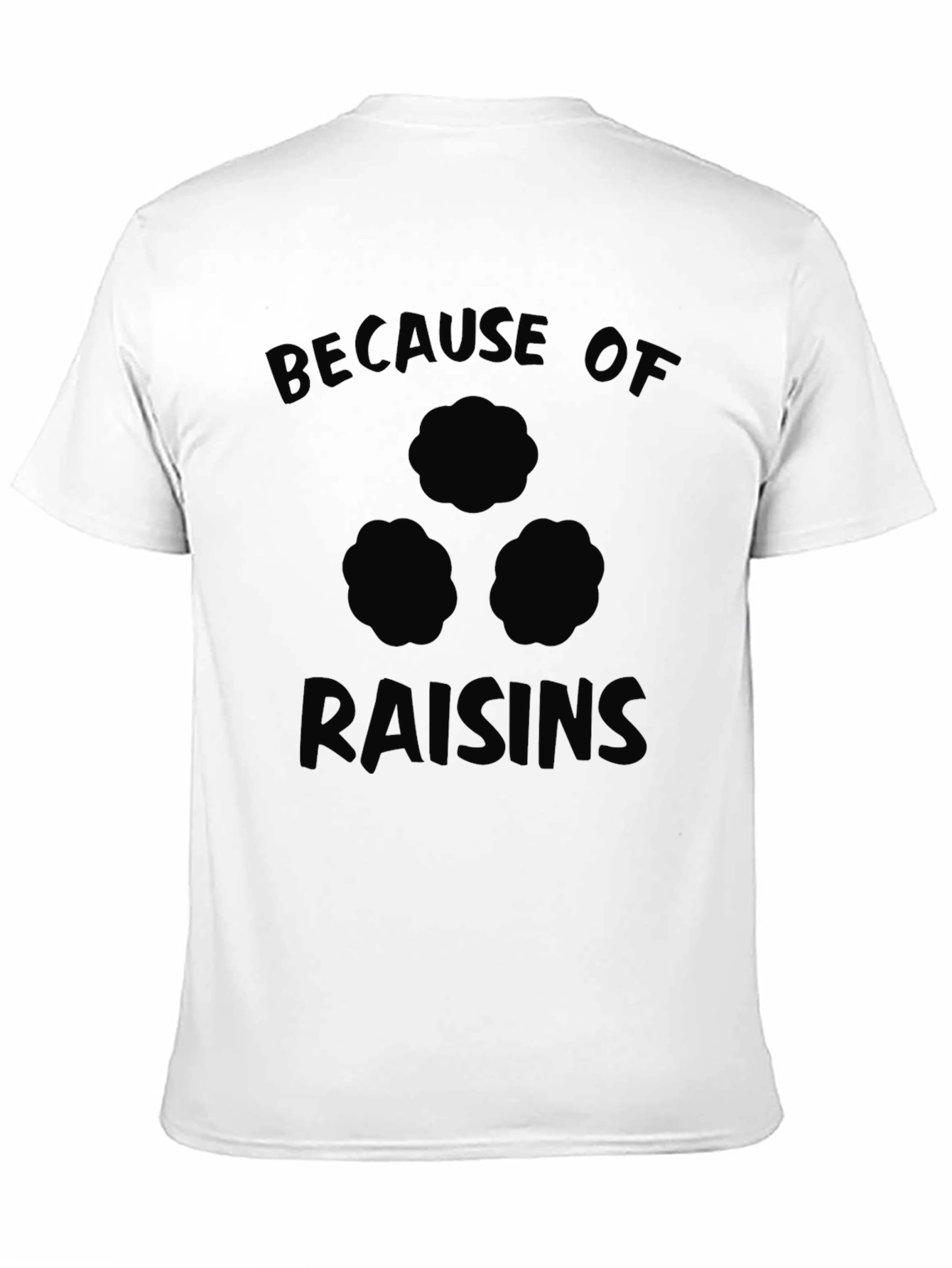 Because of Raisins Funny T-Shirt