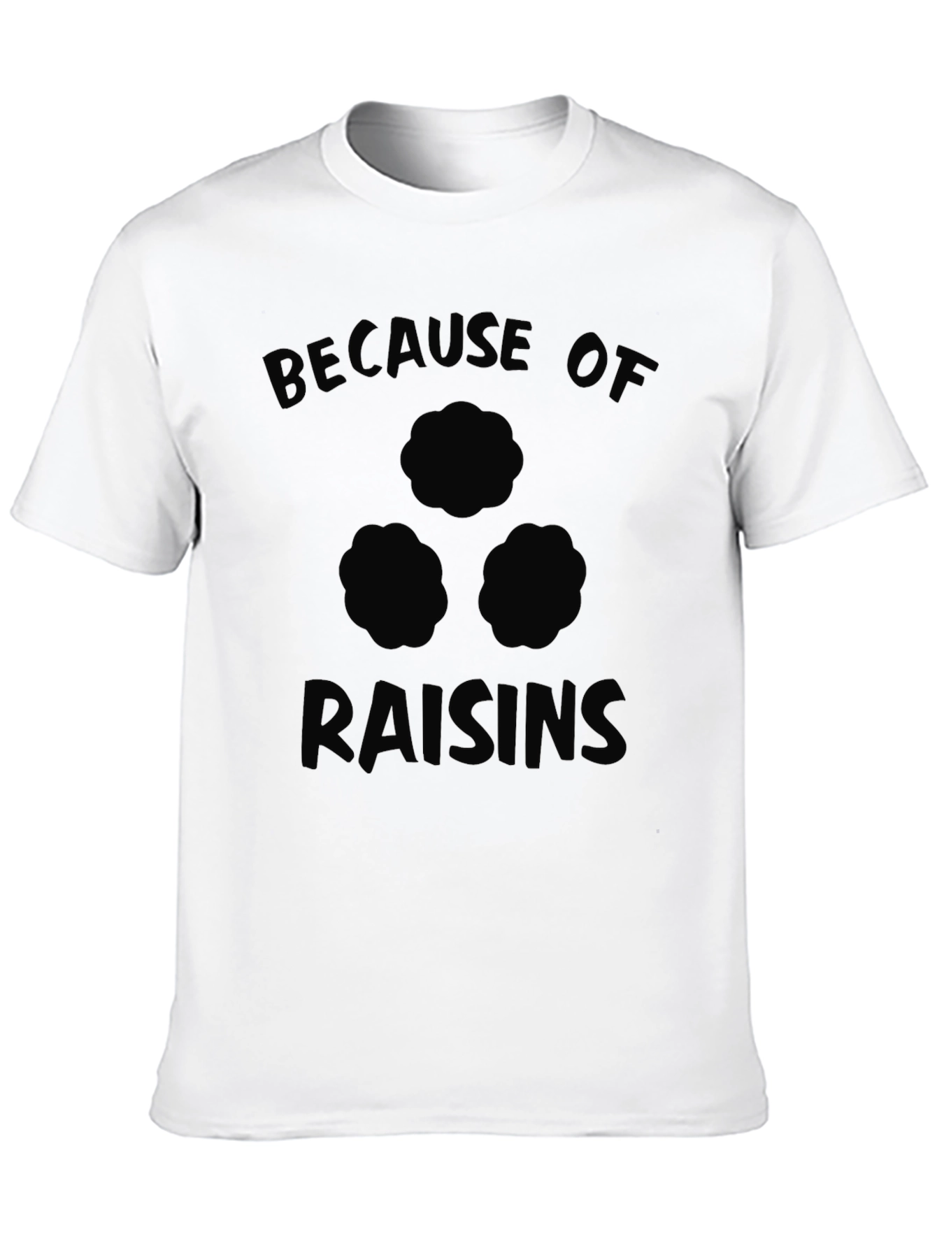 Because of Raisins Funny T-Shirt