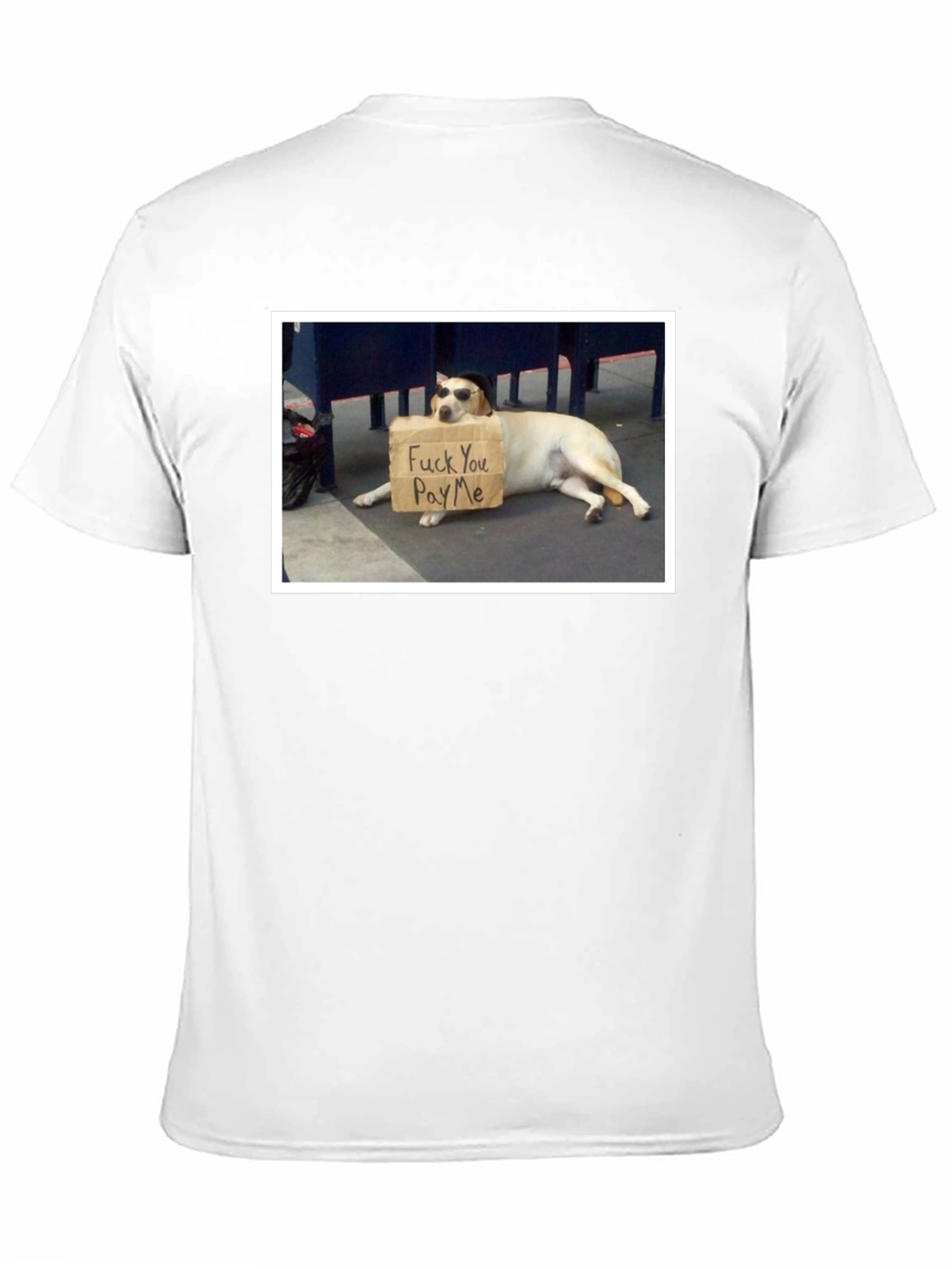 Funny Dog T-Shirt - Pay Me Design