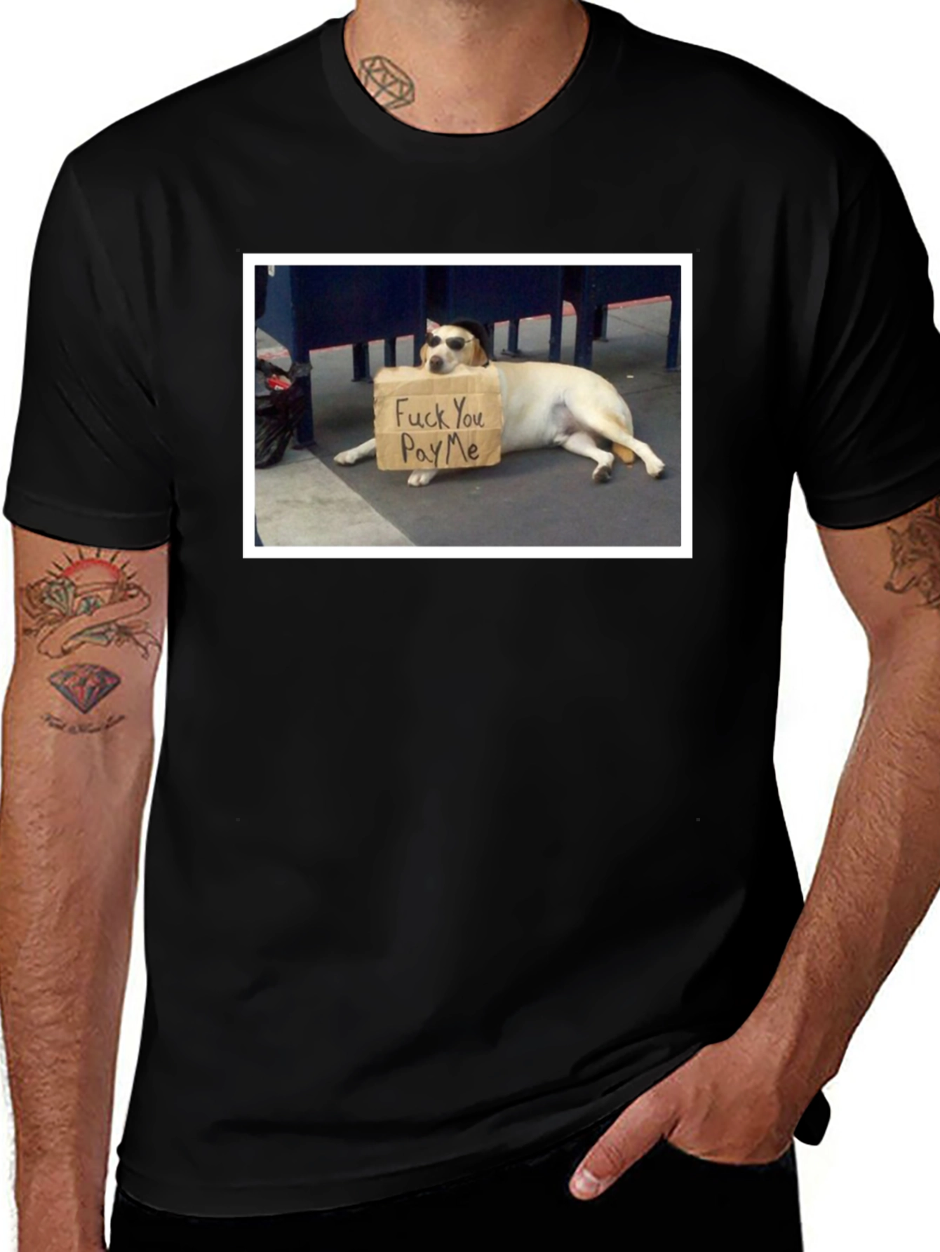 Funny Dog T-Shirt - Pay Me Design