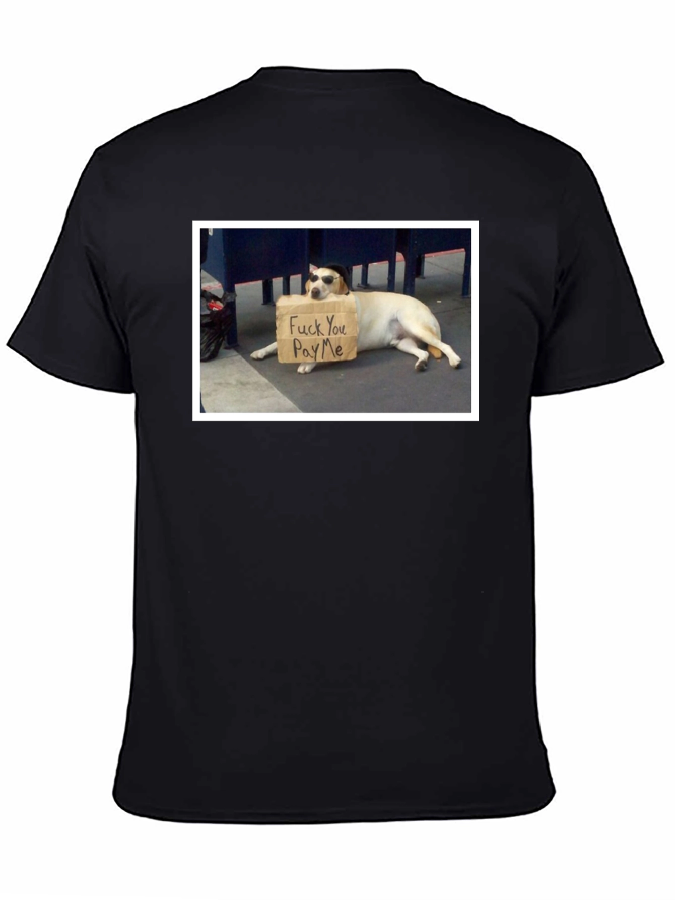 Funny Dog T-Shirt - Pay Me Design
