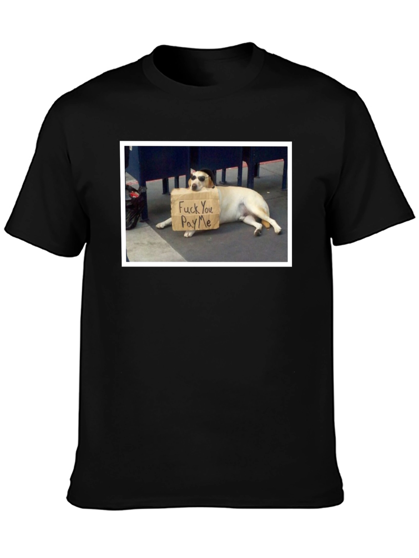 Funny Dog T-Shirt - Pay Me Design