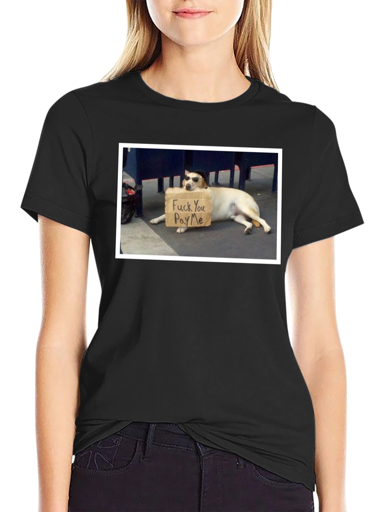 Funny Dog T-Shirt - Pay Me Design