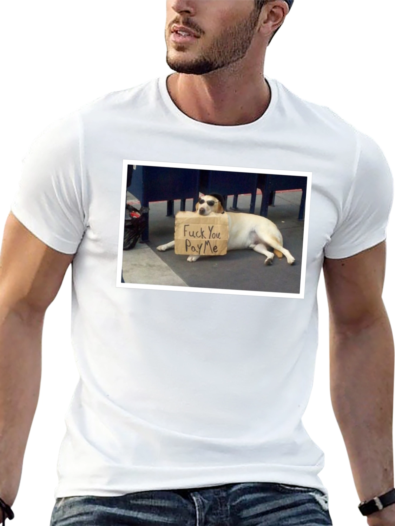 Funny Dog T-Shirt - Pay Me Design