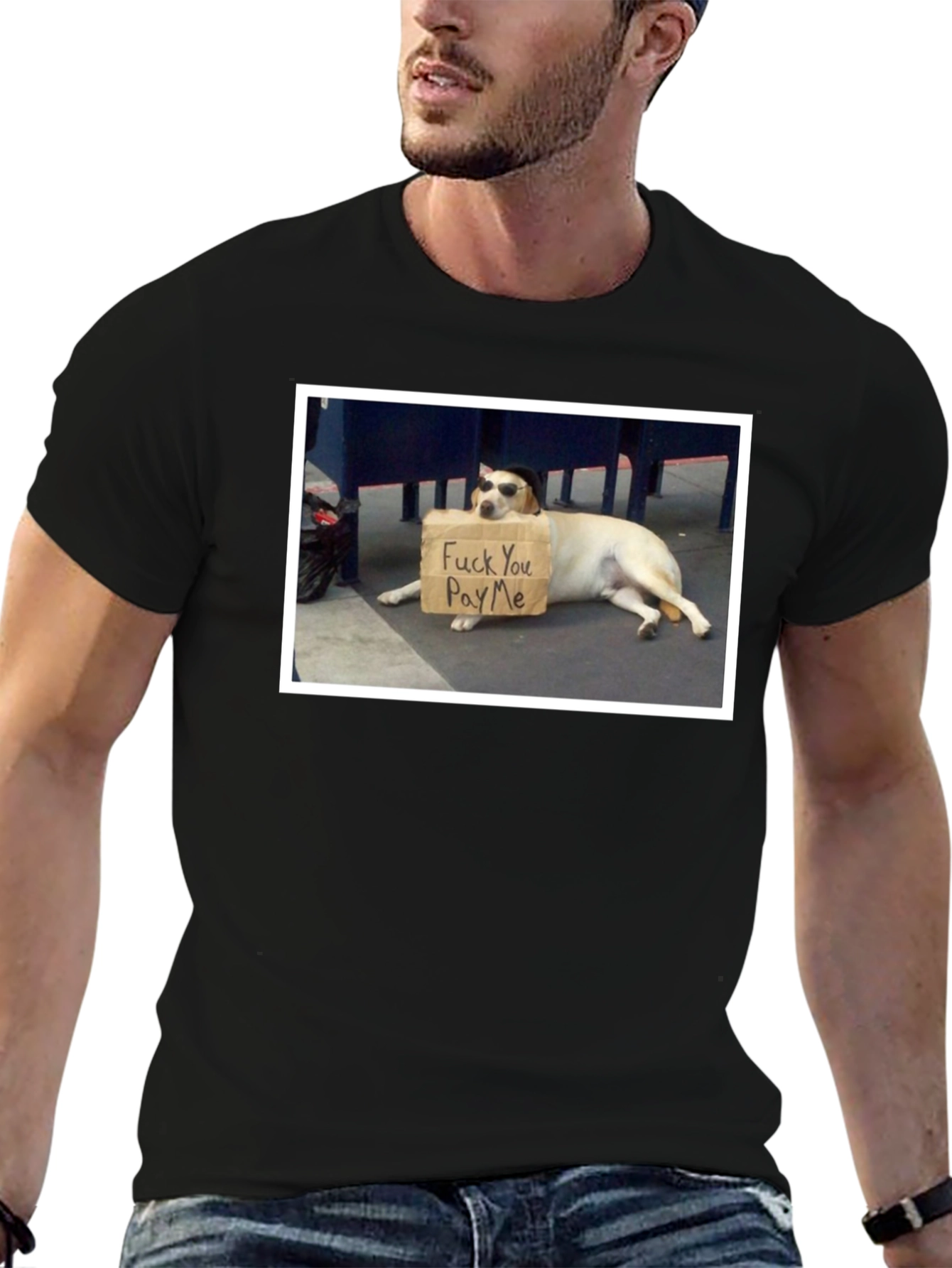 Funny Dog T-Shirt - Pay Me Design