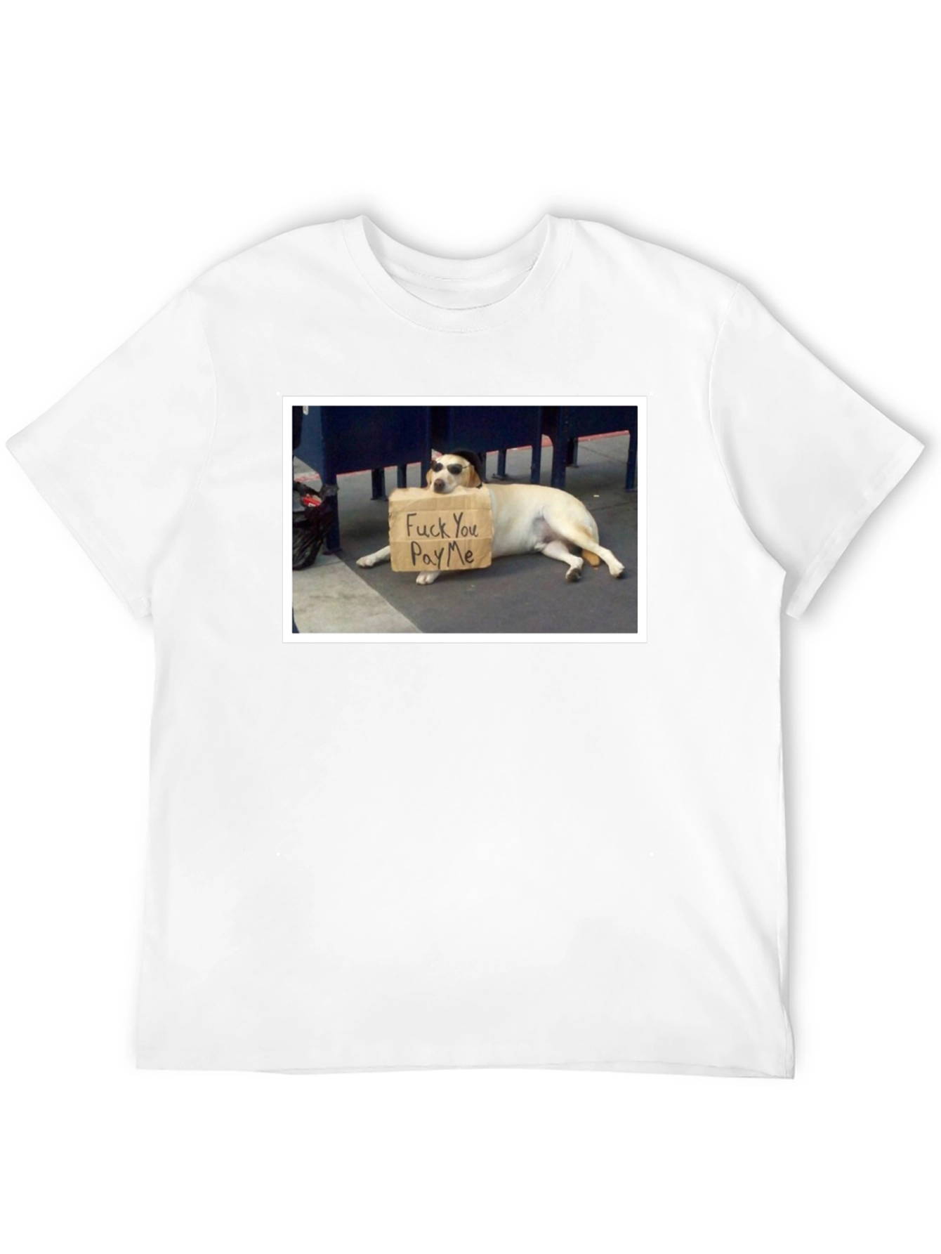 Funny Dog T-Shirt - Pay Me Design