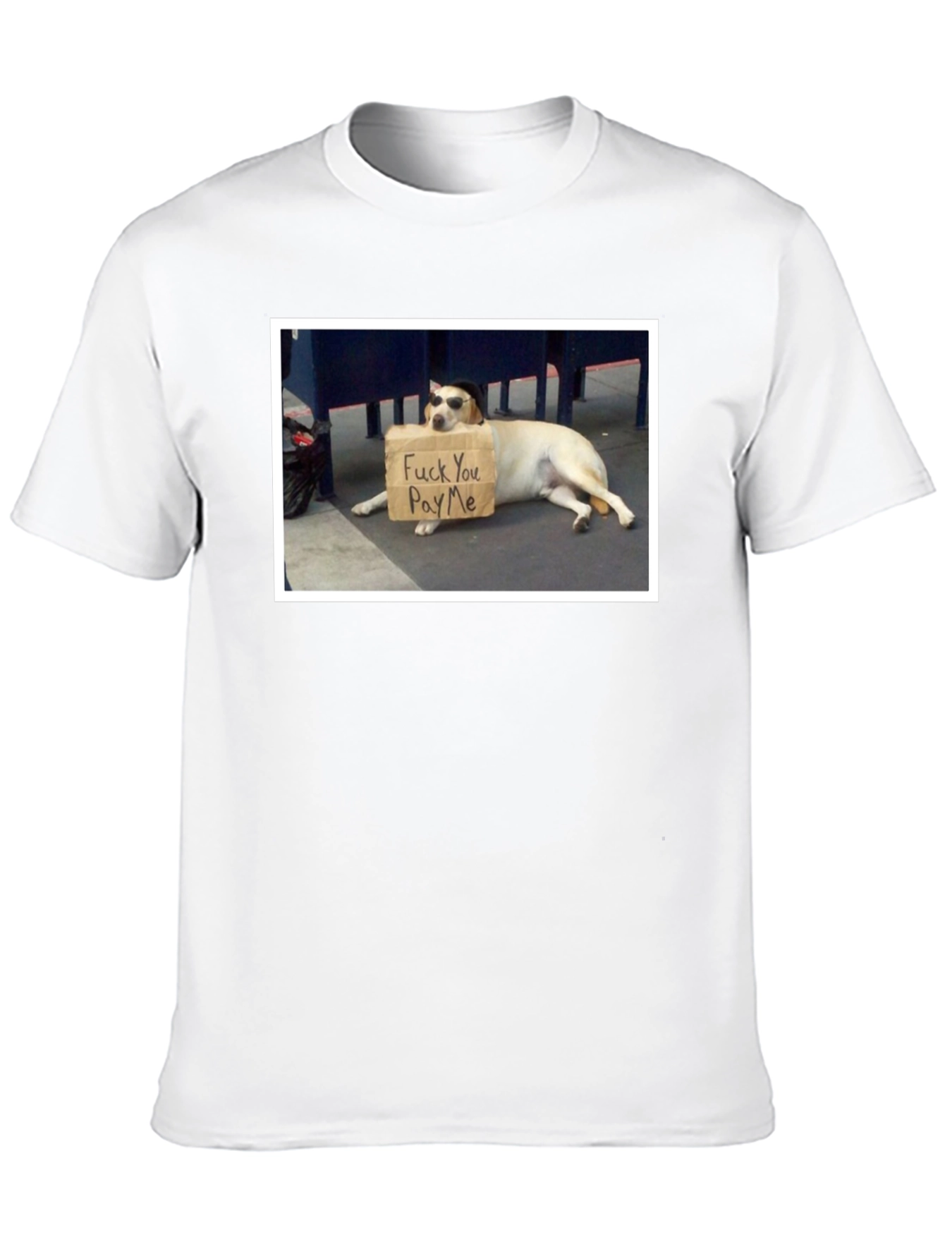 Funny Dog T-Shirt - Pay Me Design