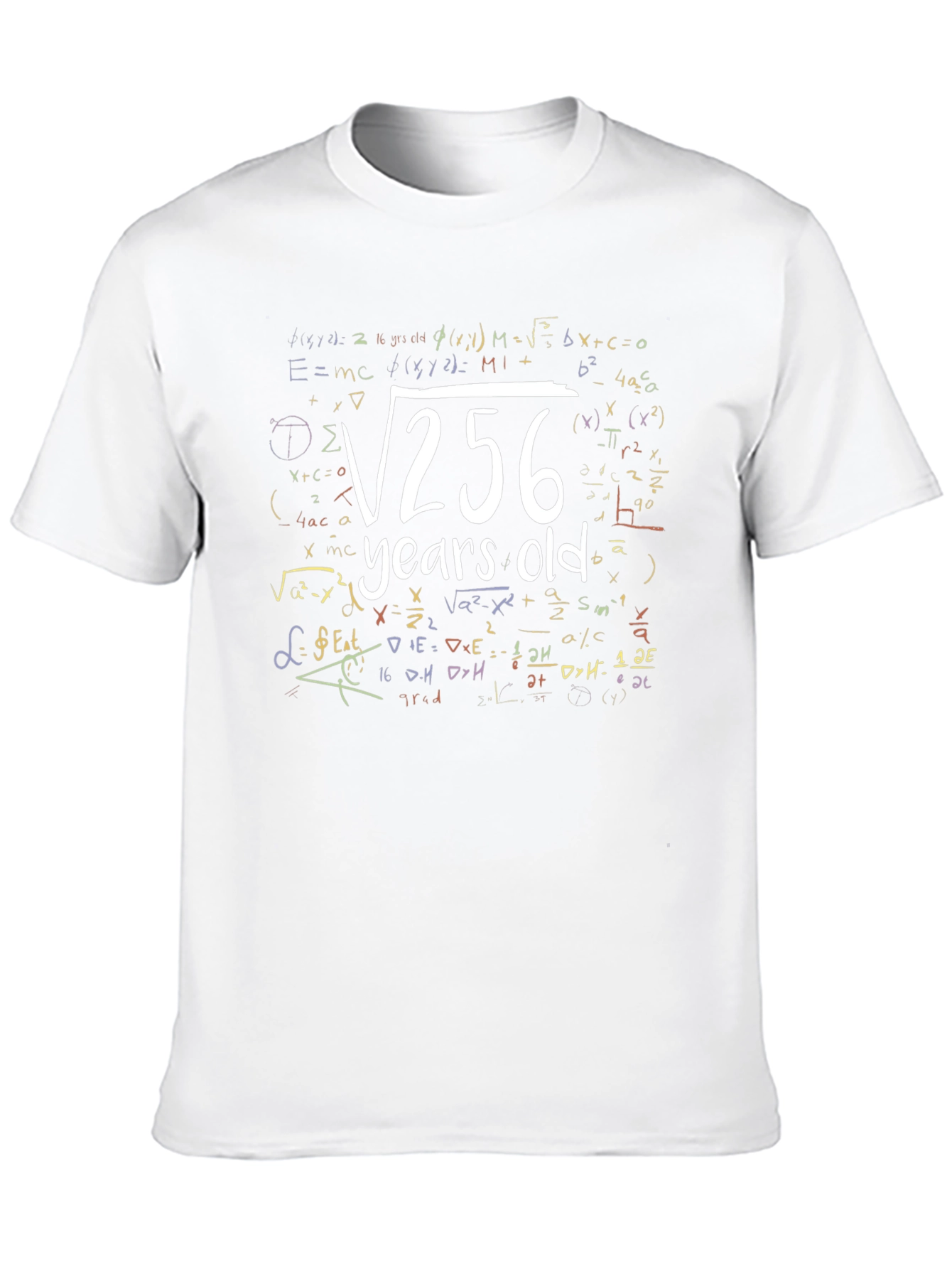 Funny 16 Years Old Birthday Math Equation T-Shirt