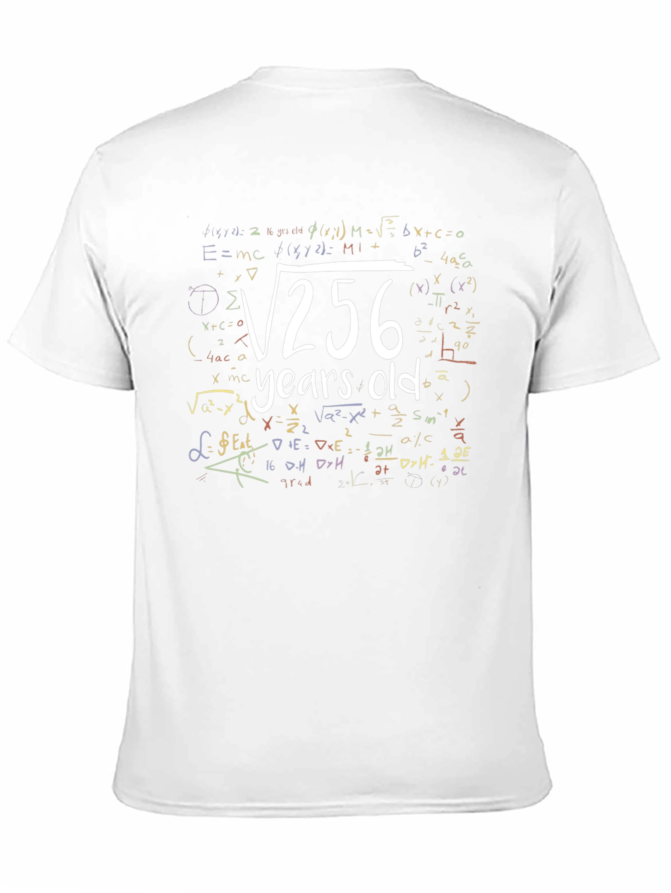 Funny 16 Years Old Birthday Math Equation T-Shirt