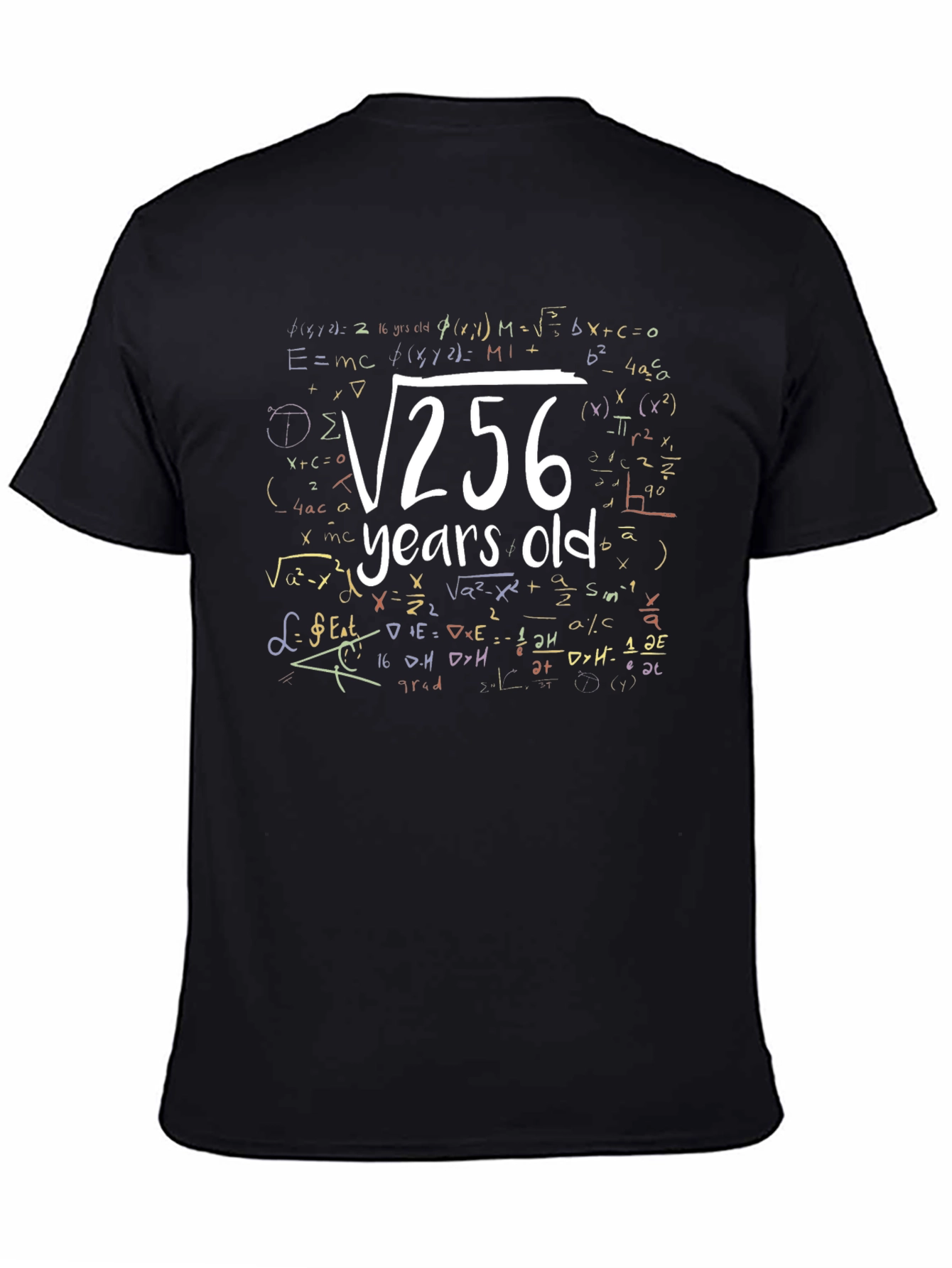 Funny 16 Years Old Birthday Math Equation T-Shirt