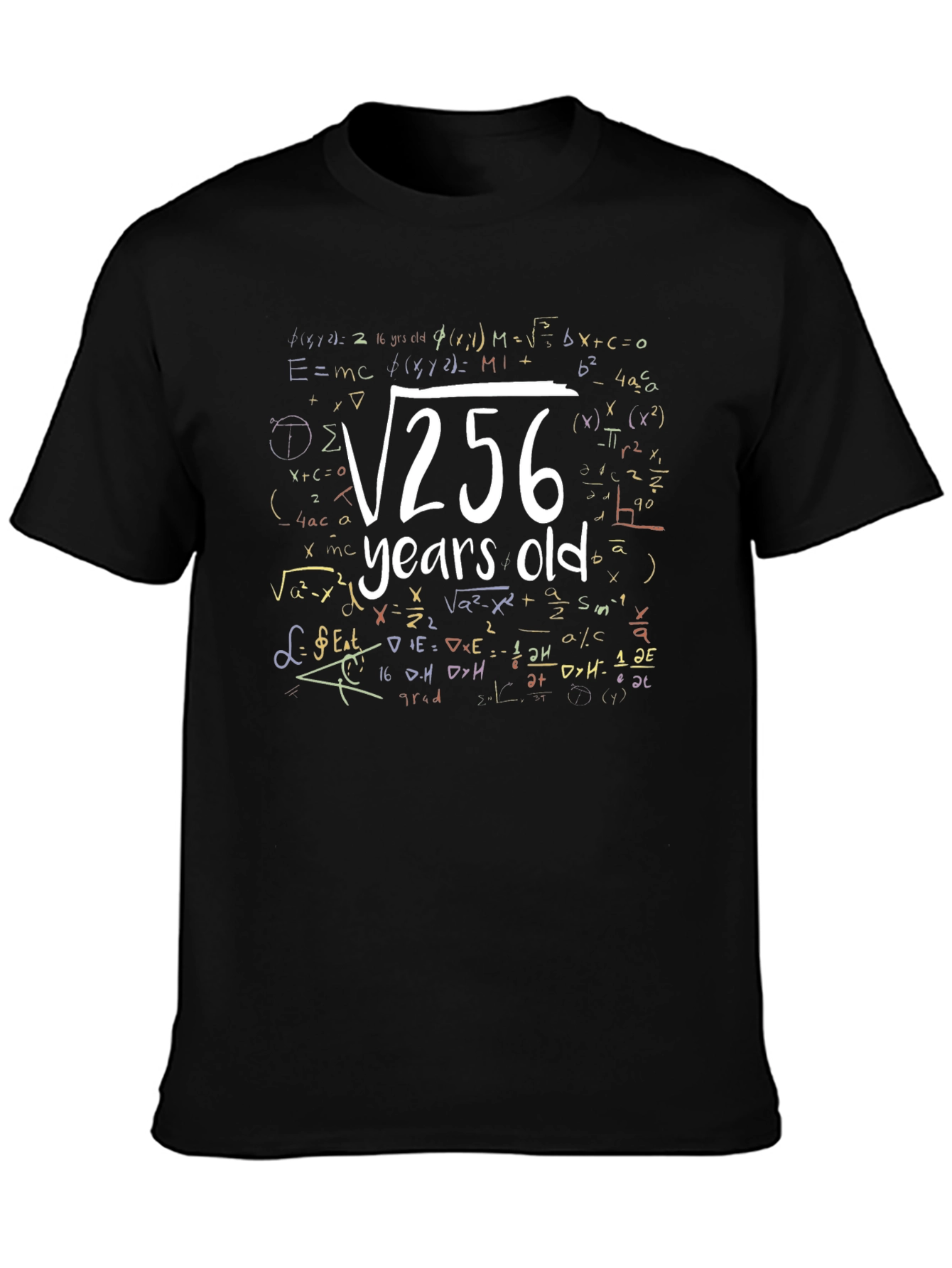 Funny 16 Years Old Birthday Math Equation T-Shirt