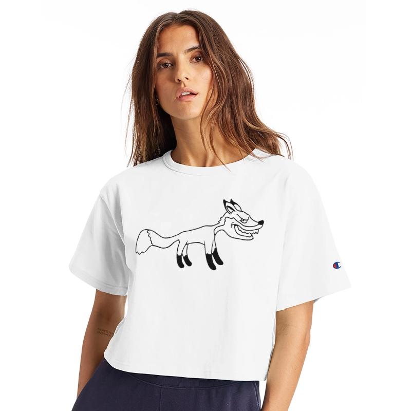 Fox Evil Look Dangerous Crazy Wild Animal Fun Face