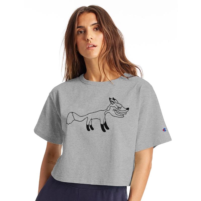 Fox Evil Look Dangerous Crazy Wild Animal Fun Face