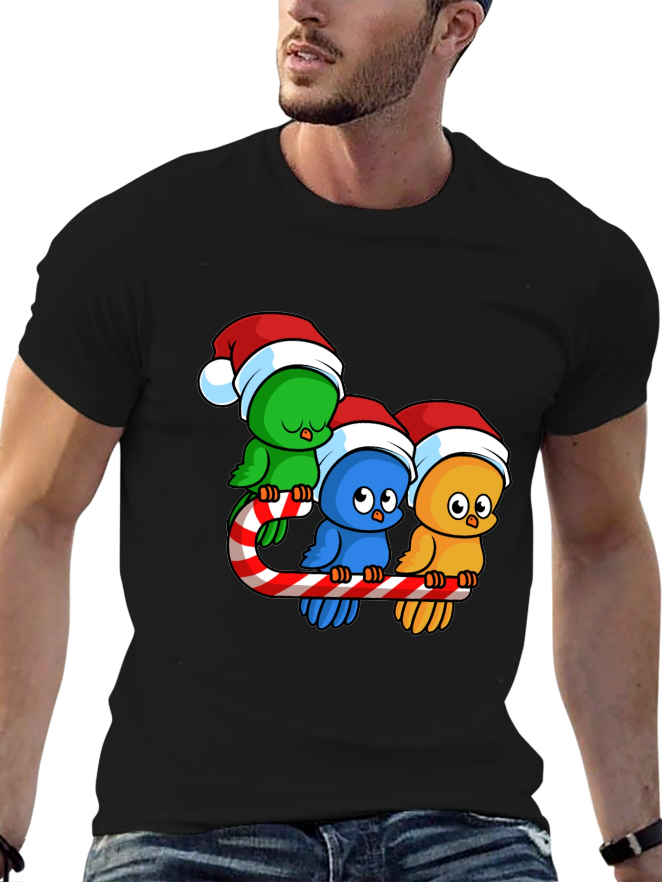 Festive Birds on Candy Cane Christmas T-Shirt