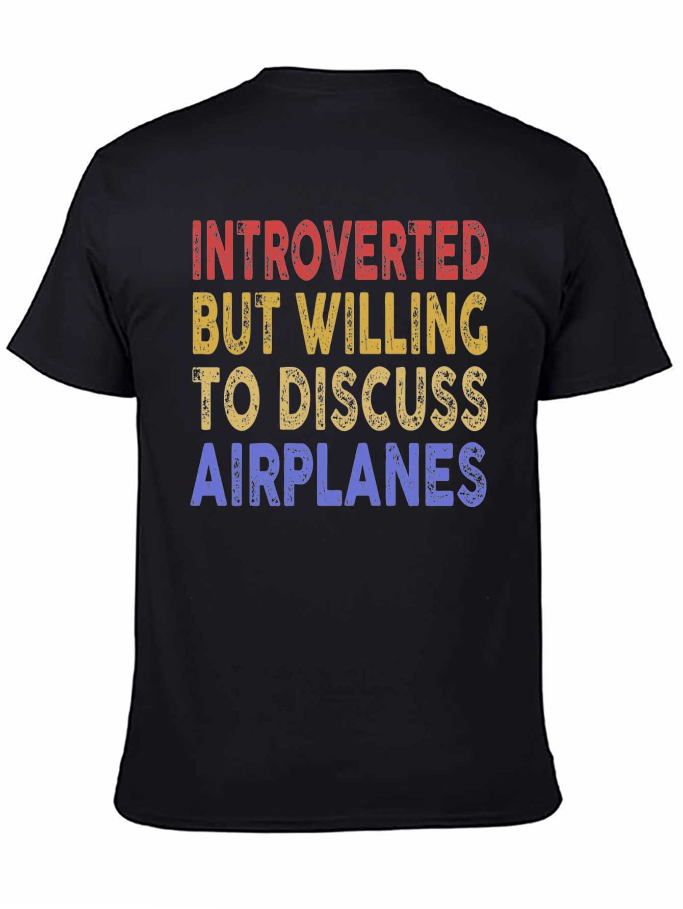 Introverted Airplane Enthusiast Graphic Tee